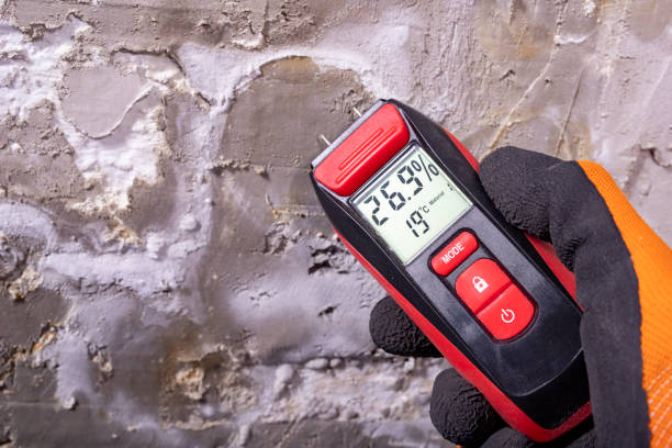Best Mold Cleaning Services  in Port Allegany, PA